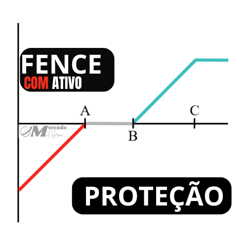 fence 1